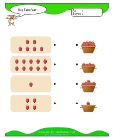 Kaç Tane Var Çalışma Sayfaları